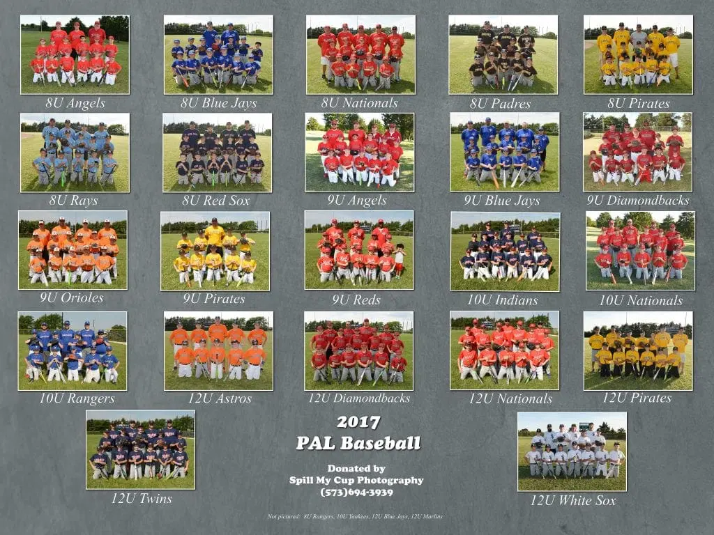 Baseball League Photo Banner